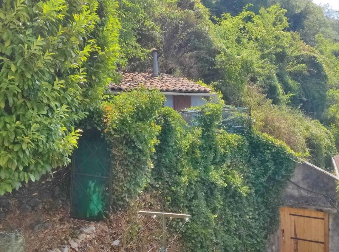 Hebergements Entiers Two Homes T1 Bas Or T1 Haut -Aux Terrasses Du Pech Foix Buitenkant foto