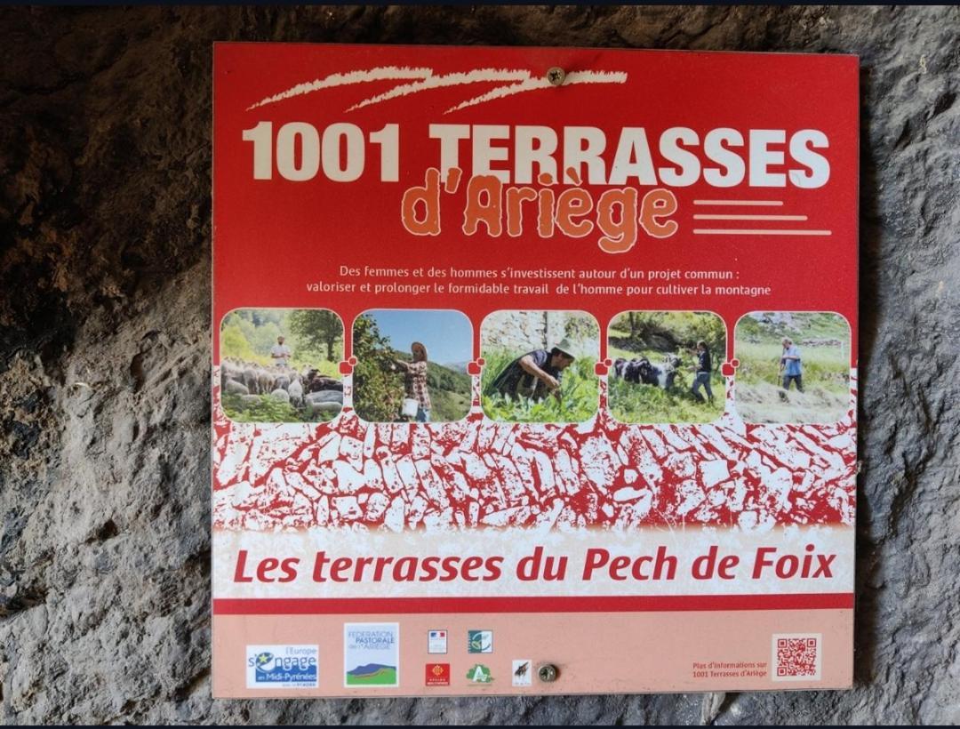 Hebergements Entiers Two Homes T1 Bas Or T1 Haut -Aux Terrasses Du Pech Foix Buitenkant foto